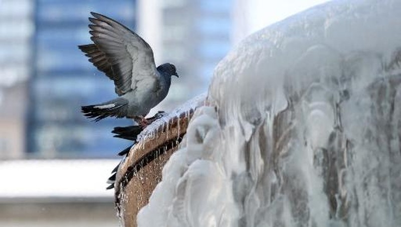 NEW YORK, NEW YORK - FEBRUARY 09: Ice floes cover part of the Hudson River along the Manhattan shoreline as New York City continues to experience frigid temperatures on February 9, 2026, in New York City. Some ferry services have been cancelled, and the remaining boats have had to add up to 20 minutes on routes to and from New Jersey to navigate the ice.   Spencer Platt/Getty Images/AFP (Photo by SPENCER PLATT / GETTY IMAGES NORTH AMERICA / Getty Images via AFP)