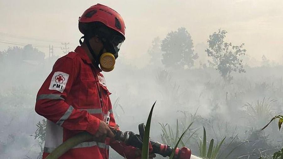 Badan Nasional Penanggulangan Bencana (BNPB) mencatat kejadian kebakaran hutan dan lahan (karhutla) yang melanda 11 kabupaten dan 2 kota di Provinsi Kalimantan Barat sejak 1 Januari 2026 hingga 11 Februari 2026 dengan total luasan terdampak hasil pendataan mencapai kurang lebih 435,578 hektare. (Dok BNPB)