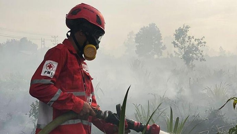 Badan Nasional Penanggulangan Bencana (BNPB) mencatat kejadian kebakaran hutan dan lahan (karhutla) yang melanda 11 kabupaten dan 2 kota di Provinsi Kalimantan Barat sejak 1 Januari 2026 hingga 11 Februari 2026 dengan total luasan terdampak hasil pendataan mencapai kurang lebih 435,578 hektare. (Dok BNPB)