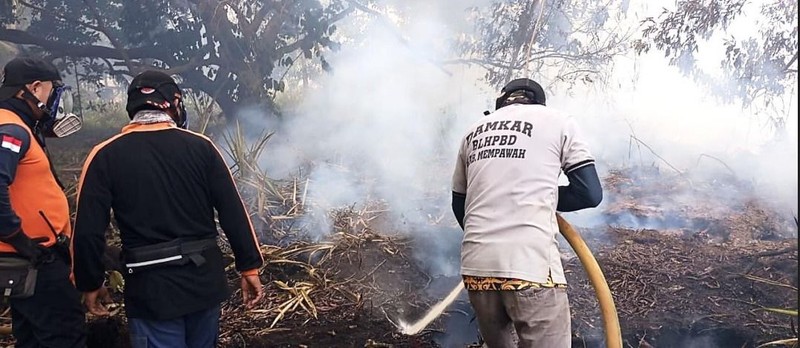 Badan Nasional Penanggulangan Bencana (BNPB) mencatat kejadian kebakaran hutan dan lahan (karhutla) yang melanda 11 kabupaten dan 2 kota di Provinsi Kalimantan Barat sejak 1 Januari 2026 hingga 11 Februari 2026 dengan total luasan terdampak hasil pendataan mencapai kurang lebih 435,578 hektare. (Dok BNPB)