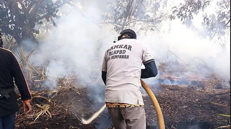 Badan Nasional Penanggulangan Bencana (BNPB) mencatat kejadian kebakaran hutan dan lahan (karhutla) yang melanda 11 kabupaten dan 2 kota di Provinsi Kalimantan Barat sejak 1 Januari 2026 hingga 11 Februari 2026 dengan total luasan terdampak hasil pendataan mencapai kurang lebih 435,578 hektare. (Dok BNPB)