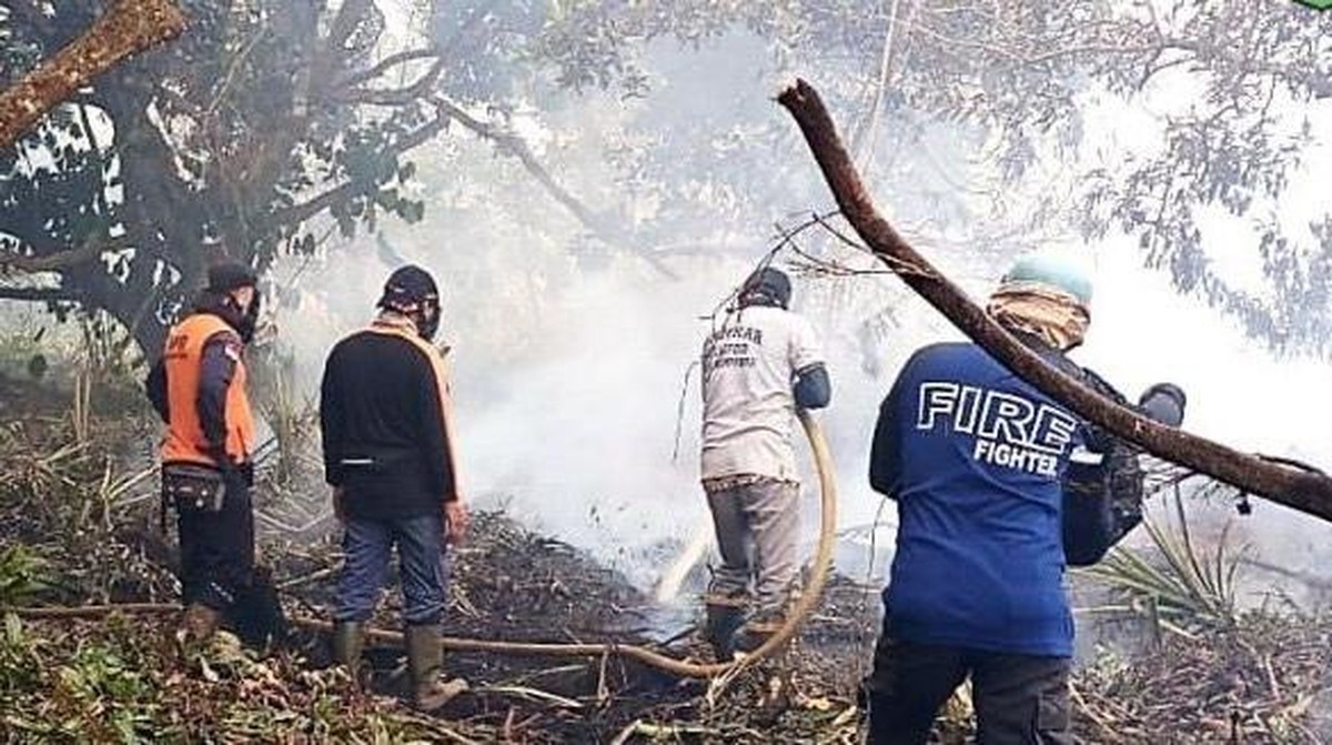 Strategi Penanggulangan Lonjakan Kebakaran Hutan dan Lahan