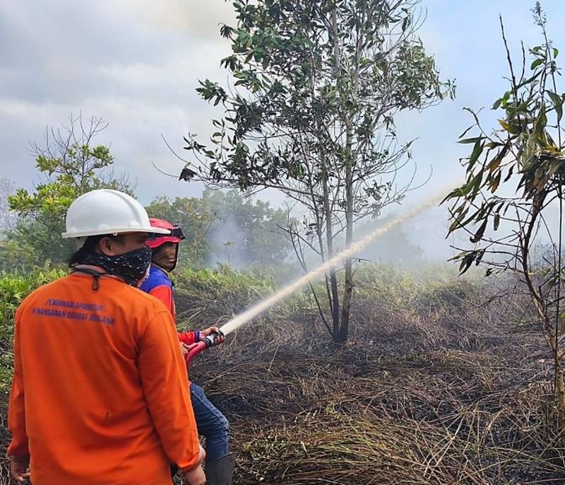 Badan Nasional Penanggulangan Bencana (BNPB) mencatat kejadian kebakaran hutan dan lahan (karhutla) yang melanda 11 kabupaten dan 2 kota di Provinsi Kalimantan Barat sejak 1 Januari 2026 hingga 11 Februari 2026 dengan total luasan terdampak hasil pendataan mencapai kurang lebih 435,578 hektare. (Dok BNPB)