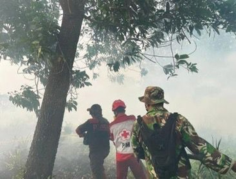 Badan Nasional Penanggulangan Bencana (BNPB) mencatat kejadian kebakaran hutan dan lahan (karhutla) yang melanda 11 kabupaten dan 2 kota di Provinsi Kalimantan Barat sejak 1 Januari 2026 hingga 11 Februari 2026 dengan total luasan terdampak hasil pendataan mencapai kurang lebih 435,578 hektare. (Dok BNPB)