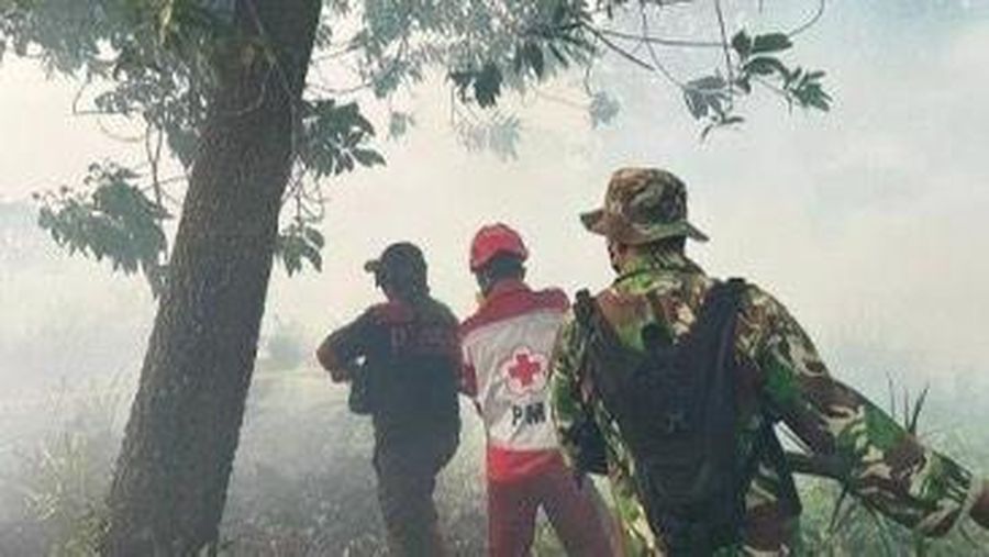 Badan Nasional Penanggulangan Bencana (BNPB) mencatat kejadian kebakaran hutan dan lahan (karhutla) yang melanda 11 kabupaten dan 2 kota di Provinsi Kalimantan Barat sejak 1 Januari 2026 hingga 11 Februari 2026 dengan total luasan terdampak hasil pendataan mencapai kurang lebih 435,578 hektare. (Dok BNPB)