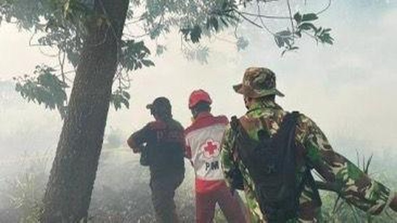 Badan Nasional Penanggulangan Bencana (BNPB) mencatat kejadian kebakaran hutan dan lahan (karhutla) yang melanda 11 kabupaten dan 2 kota di Provinsi Kalimantan Barat sejak 1 Januari 2026 hingga 11 Februari 2026 dengan total luasan terdampak hasil pendataan mencapai kurang lebih 435,578 hektare. (Dok BNPB)