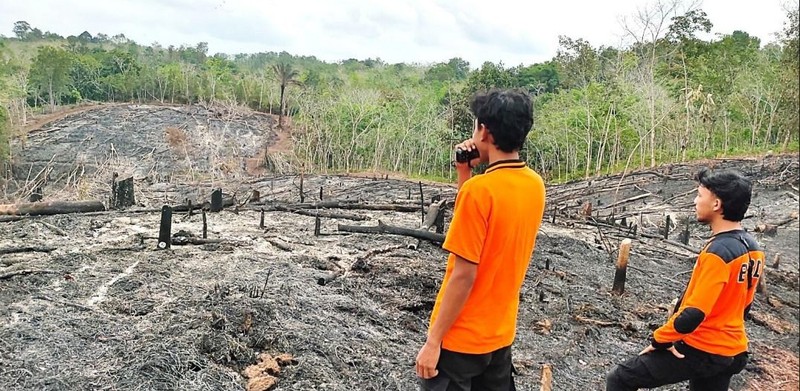 Badan Nasional Penanggulangan Bencana (BNPB) mencatat kejadian kebakaran hutan dan lahan (karhutla) yang melanda 11 kabupaten dan 2 kota di Provinsi Kalimantan Barat sejak 1 Januari 2026 hingga 11 Februari 2026 dengan total luasan terdampak hasil pendataan mencapai kurang lebih 435,578 hektare. (Dok BNPB)