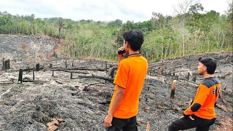 Badan Nasional Penanggulangan Bencana (BNPB) mencatat kejadian kebakaran hutan dan lahan (karhutla) yang melanda 11 kabupaten dan 2 kota di Provinsi Kalimantan Barat sejak 1 Januari 2026 hingga 11 Februari 2026 dengan total luasan terdampak hasil pendataan mencapai kurang lebih 435,578 hektare. (Dok BNPB)