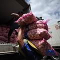 Bawang Putih. (CNBC Indonesia/Tri Susilo)