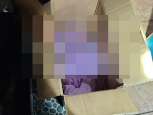 Bayi Perempuan Beserta Surat Wasiat Ditemukan dalam Kardus di Jember