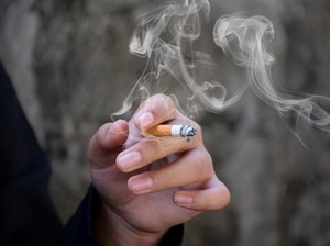 Pemilik Lahan Terbakar di Pulpis Diperiksa Polisi, Diduga Lalai Matikan Rokok
