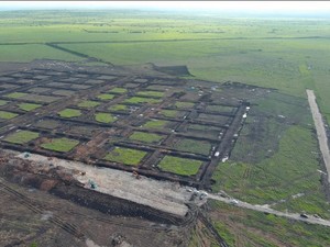 Tambak Udang Raksasa Dibangun di NTT, Telan Biaya Rp 7,2 T