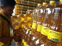 Harga CPO Dunia Lagi Meledak Ikut Kerek Minyakita? Begini Kata Mendag