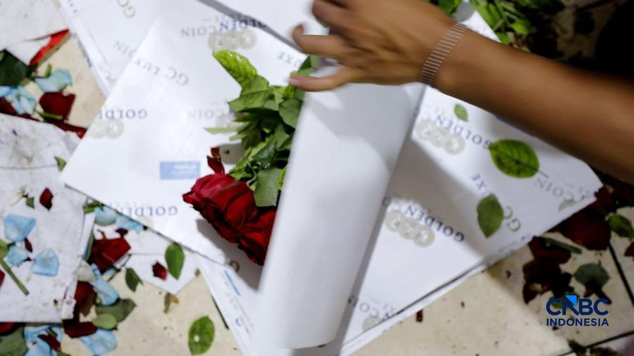 Pekerja menyelesaikan pengikatan bunga mawar di Pasar Rawa Belong, Jakarta, Kamis (12/2/2026). Permintaan bunga mawar mengalami peningkatan drastis menjelang perayaan hari Valentine pada 14 Februari 2026. (CNBC Indonesia/Tri Susilo)