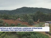 Video: Pemerintah dan HKTI Siapkan Rehabilitasi Sektor Pertanian