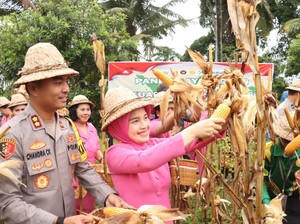 Jurus Polres Gianyar Perkuat Ketahanan Pangan Lewat Panen-Tanam Jagung