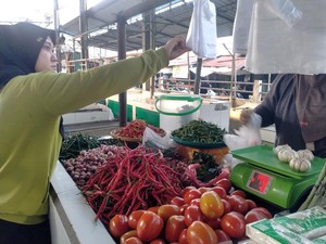 Harga Tomat di Binjai Tembus Rp 17.000/kg