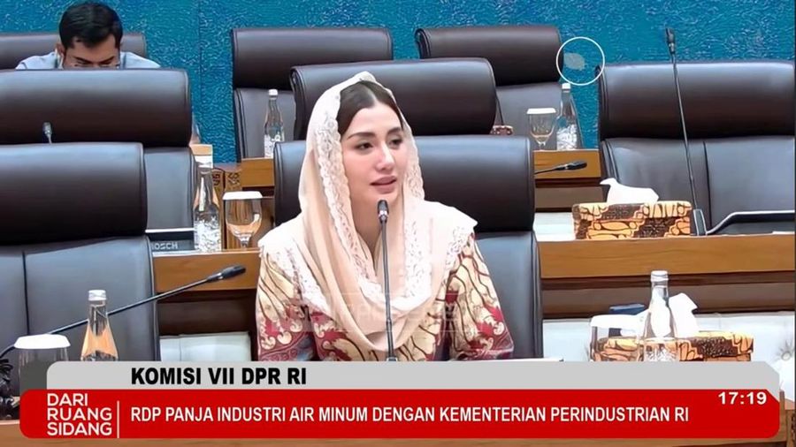 Anggota Komisi VII, Novita Hardini