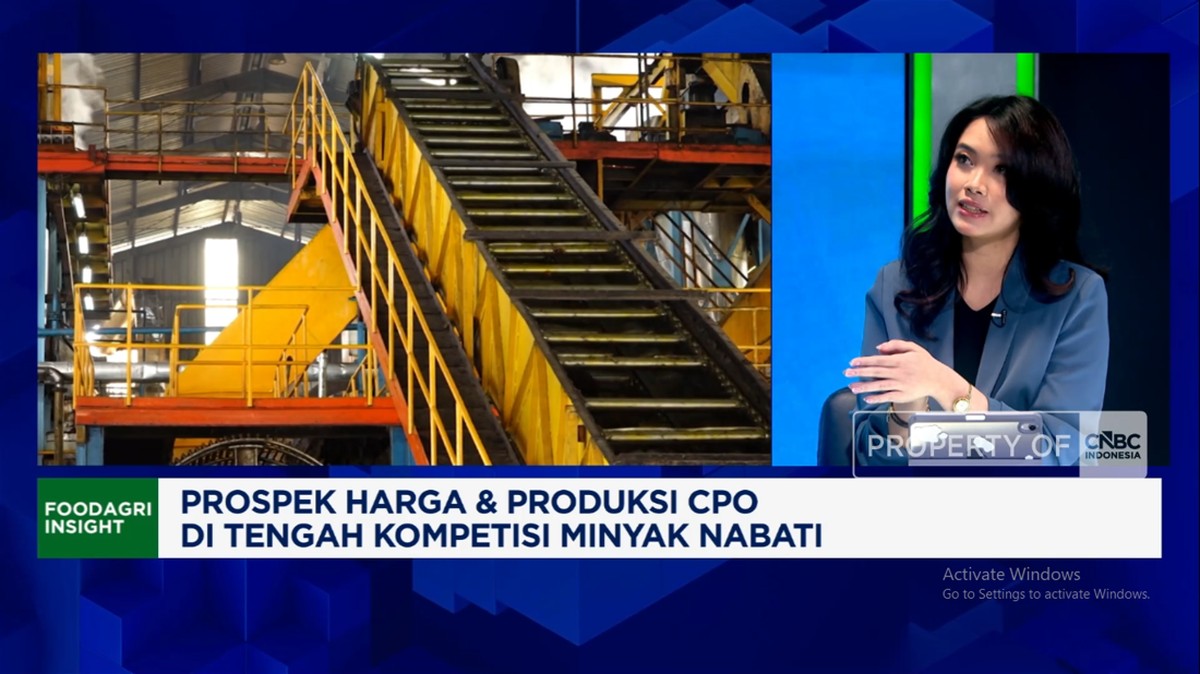 Video: Bersaing Dengan Minyak Kedelai Cs, Gimana Nasib CPO RI 2026?