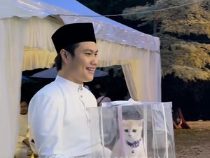 Pecinta Anabul Wajib Tiru! Viral Pria Beri Seserahan Kucing untuk Pasangan