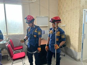 RSUD Palopo 4 Kali Diteror Ular Berbisa, Terbaru Ular Cincin Emas Dievakuasi