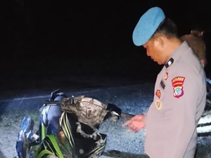 2 Motor Adu Banteng di Sulut gegara Hindari Lubang, 2 Orang Tewas-1 Dirawat
