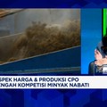 Video: Bersaing Dengan Malaysia, Apa Keunggulan Bisnis CPO RI di 2026?