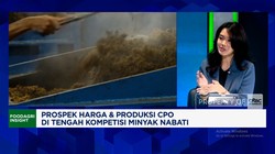 Video: Bersaing Dengan Malaysia, Apa Keunggulan Bisnis CPO RI di 2026?