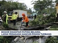 Video: Bogor Dihantam Puting Beliung-Warga Ramai-ramai Borong Komputer