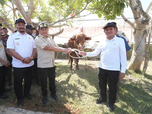 Daging Sapi Rp 72 M Bantuan Prabowo untuk Warga Aceh Dibagikan Hari Ini