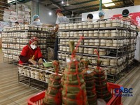 PMI Manufaktur RI Jatuh ke Level Terlemah 8 Bulan, Terpukul Perang