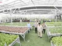 Peresmian 1.072 SPPG dan 18 Gudang Ketahanan Pangan