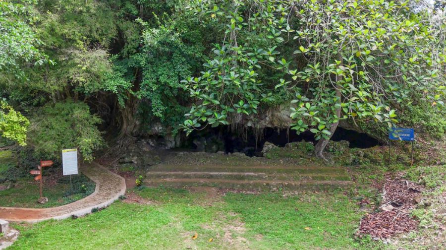 Badan Riset dan Inovasi Nasional (BRIN) ungkap temuan baru pertanggalan gambar cadas tertua di dunia. Temuan yang berlokasi di Sulawesi bagian tenggara dan dipublikasikan dalam jurnal Nature ini menjadi tonggak penting bagi riset arkeologi Indonesia.  Ini juga sekaligus memperkuat posisi Indonesia dalam kajian prasejarah global. (Tangkapan Layar BRIN)