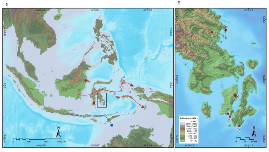 Badan Riset dan Inovasi Nasional (BRIN) ungkap temuan baru pertanggalan gambar cadas tertua di dunia. Temuan yang berlokasi di Sulawesi bagian tenggara dan dipublikasikan dalam jurnal Nature ini menjadi tonggak penting bagi riset arkeologi Indonesia.  Ini juga sekaligus memperkuat posisi Indonesia dalam kajian prasejarah global. (Tangkapan Layar BRIN)