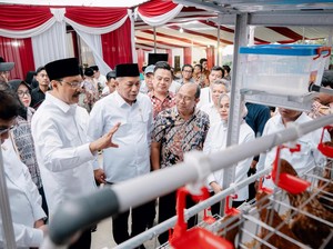 Kemensos Serahkan Bantuan Paket Pemberdayaan Ayam Petelur untuk KPM