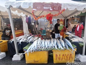 Seminggu Jualan di Rawa Belong, Pedagang Bandeng Raup Omzet Rp 15 Juta