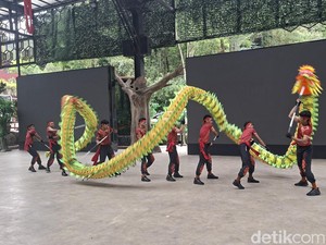 Libur Imlek, Taman Safari Bogor Gelar Parade Barongsai, Dipadati Wisatawan Jakarta