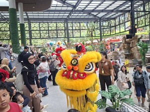 Long Weekend Imlek, Taman Safari Ramai Wisatawan, Targetkan 10.000 Pengunjung