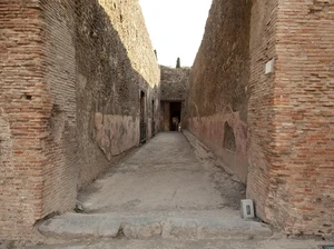 Bunyi Surat Cinta Berusia 2.000 Tahun di Dinding Pompeii