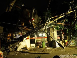 Beringin Raksasa Tumbang di Puri Kantor Ubud, Listrik Mati