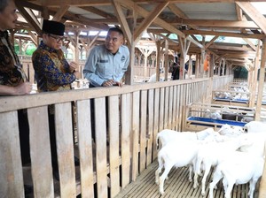 Kemendes PDT Bidik Pengembangan Desa Domba di Karawang