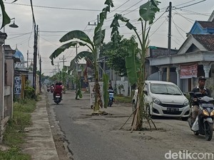 Jalan Rusak Bikin Celaka di Tulungagung Diubah Warga Jadi Kebun Pisang