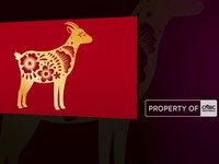 Video: 5 Shio Bakal Menarik Kekayaan di Tahun Kuda Api 2026