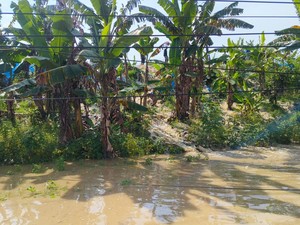 34 Desa di Grobogan Jateng Kebanjiran, 5.214 Keluarga Terdampak