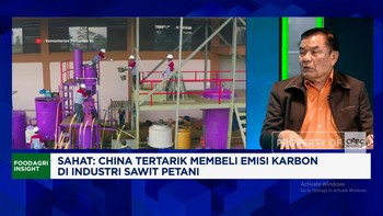 Video: Alasan China Tertarik Beli Emisi Karbon di Industri Sawit RI