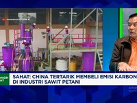 Video: Alasan China Tertarik Beli Emisi Karbon di Industri Sawit RI