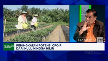 Video: Alasan Pengusaha Minta Pemerintah Perbaiki Tata Kelola Sawit RI