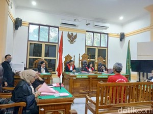 Terdakwa Kasus Jual Beli Beruang Madu Awetan Divonis 2 Tahun Penjara