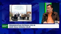 Video: China Mau Beli Karbon RI, Industri Sawit RI Bisa Untung Besar?