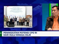Video: China Mau Beli Karbon RI, Industri Sawit RI Bisa Untung Besar?